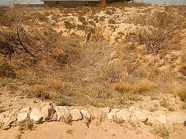 The shallow, brush-filled depression of the Odessa Meteor Crater near Odessa, Texas, ringed by a low rock rim