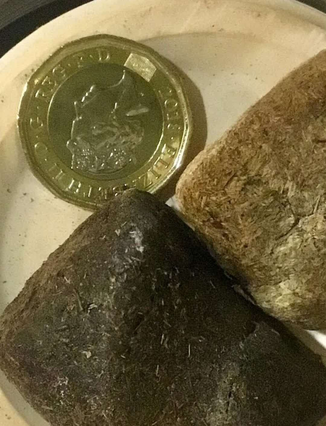 A real cube-shaped wombat dropping next to a gold coin for scale, showing distinct flat sides and sharp corners rather than a rounded shape