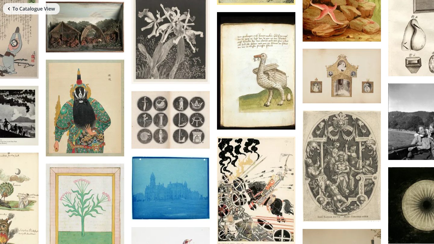 Screenshot of the Public Domain Image Archive Infinite View — a dense wall of public-domain images including manuscript pages, botanical illustrations, vintage photographs, line art, and ornate prints