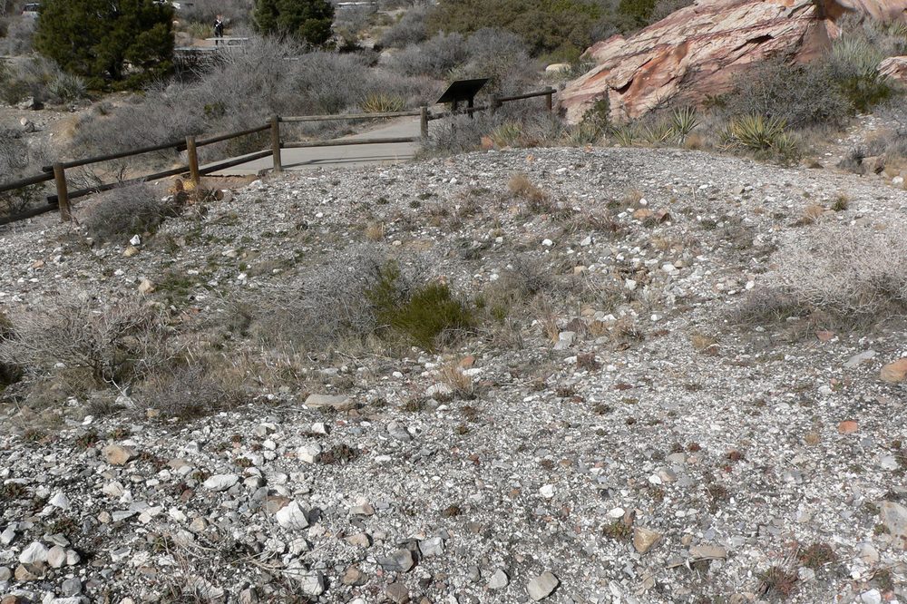 A Paiute agave roasting pit near Willow Spring at Red Rock Canyon, a shallow circular depression lined with fire-cracked rock