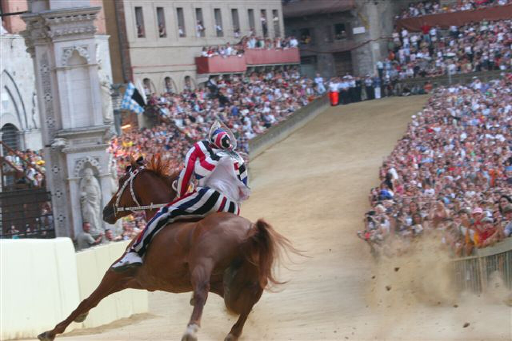 Wikipedia's Palio di Siena article showing a photo of a jockey and horse rounding a bend of the race course at Piazza del Campo, with a packed crowd behind the barriers